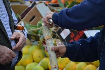Día del Artesano y Labrador en Jinámar (Foto TA)
